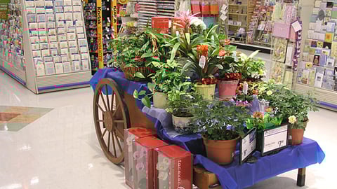 Albertsons Potted Plants Cart