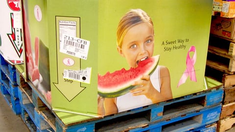 Watermelon Breast Cancer Awareness Dump Bin