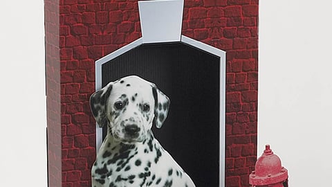 Nintendogs Dalmations Standee