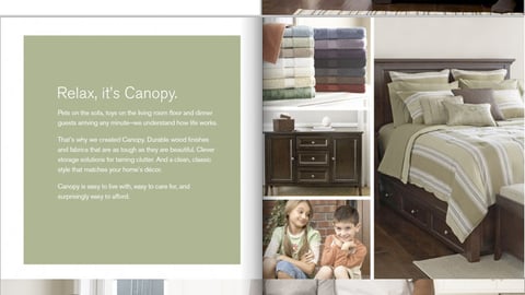 Wal-Mart Canopy Online Catalog Ad