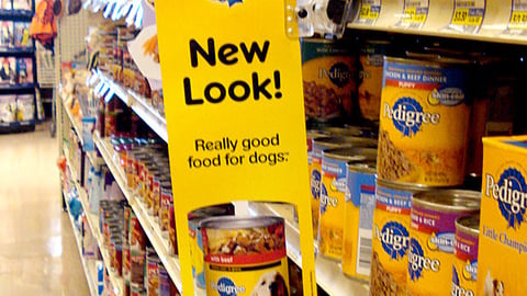 Pedigree 'New Look' Violator