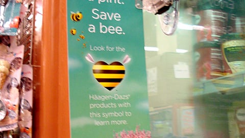 Haagen-Dazs Honey Bee Violator