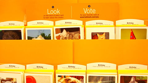 Hallmark 'Your Pets' Greeting Cards