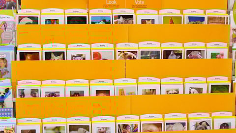 Hallmark 'Your Pets' Finalists In-Line Display