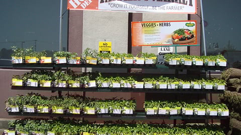 Home Depot 'Farmer's Market' Banner