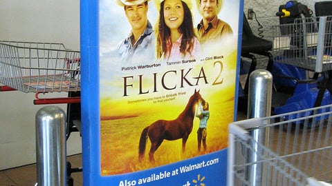 'Flicka 2' Walmart Security Pedestal Ad
