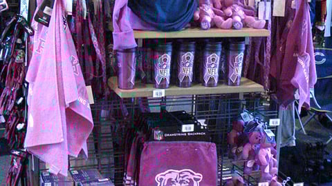 Dick's NFL 'Pink' Mobile Floorstand