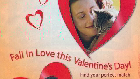 Purina PetLover Savings FSI