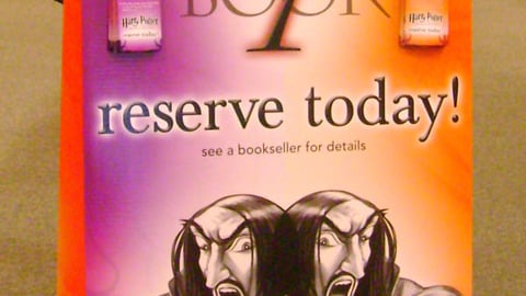 'Harry Potter and the Deathly Hallows' Standee