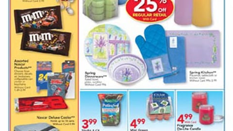 CVS M&M's NASCAR Feature