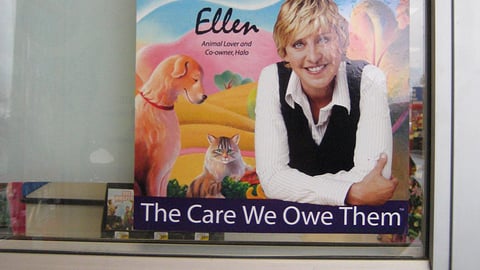 Petco Halo Window Cling