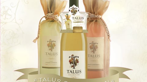 Talus Gift Packaging