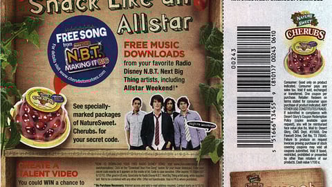 Desert Glory 'Snack Like an Allstar' FSI