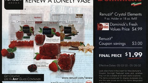 Renuzit Dominick's Co-Equity FSI