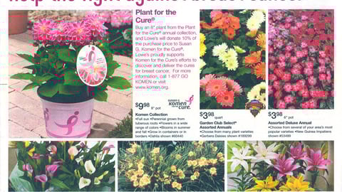 Lowe's 'Plant for the Cure' Feature