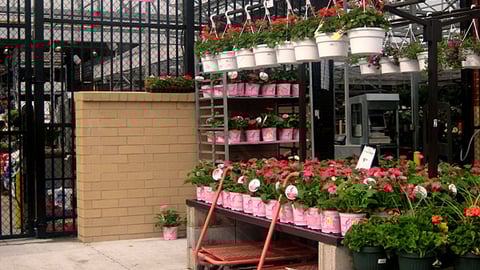 Lowe's 'Plant for the Cure' Merchandising