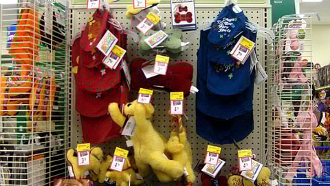 PetSmart Dog Bliss You Endcap