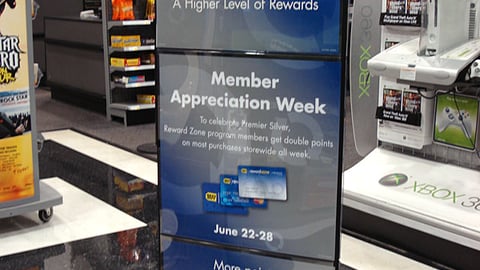 Best Buy Premier Silver Reward Zone Stanchion