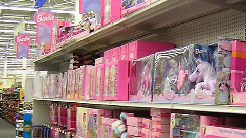 Barbie Shelf Display