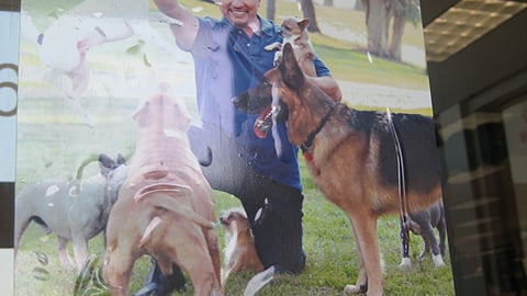 Petco Dog Whisperer Window Cling