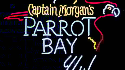Captain Morgan's Parrot Bay