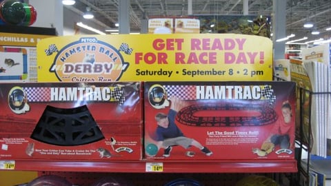 Petco Hamster Derby Event Endcap Header