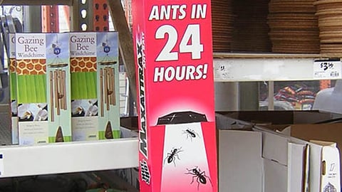 Hot Shot Ant Killer Gravity Feed