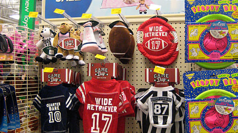 PetSmart 'Game Day' Endcap