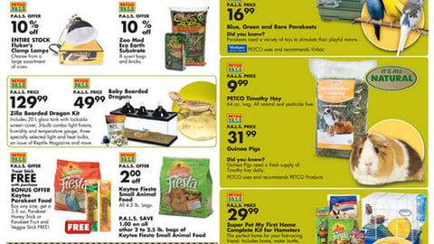 Petco Hamster Ball Derby Feature