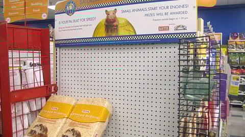 Petco Hamster Ball Derby Endcap Header