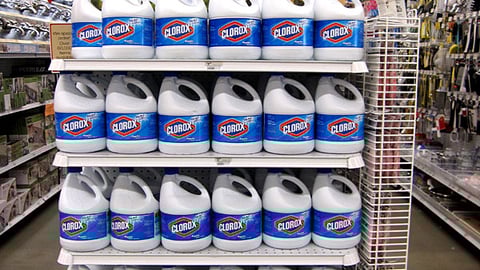 Ace Hardware 'Big Savings' Clorox Endcap