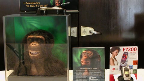 Sharper Image Chimp Head Display