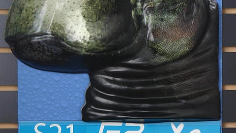 Bluetrek Hippo Wall Sign