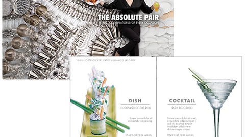 Absolut Pair Brochure