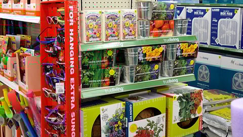 Dollar General TrueLiving Endcap