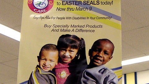 Food Lion 'Shop & Care' Ceiling Banner