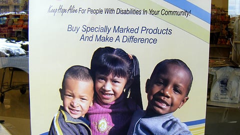 Food Lion Easter Seals 'Shop & Care' Poster