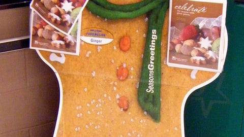 Food Lion Holiday Standee