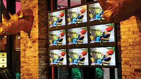 Channel M Ecko Network