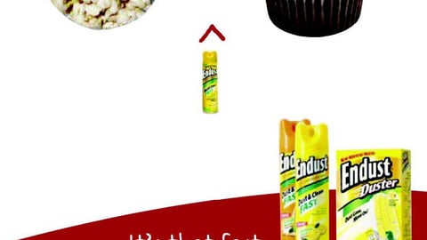 Sara Lee’s Endust FSI