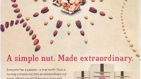 True North 'Extraordinary' FSI