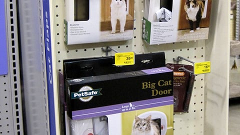 PetSmart Cat Flaps Power Wing