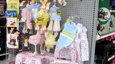 PetSmart 'Spring Dots' Endcap