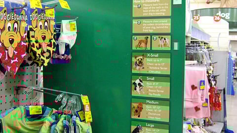 PetSmart Dog Apparel Size Guide Violator