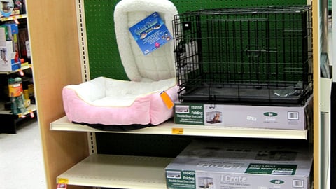 PetSmart 'Puppy Center' Endcap