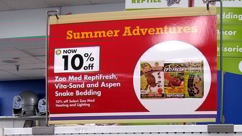 Petco 'Summer Adventures' Endcap Header