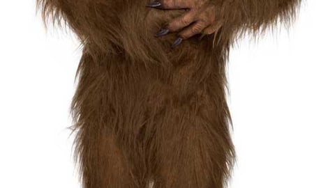 Jack Link's Sasquatch Character