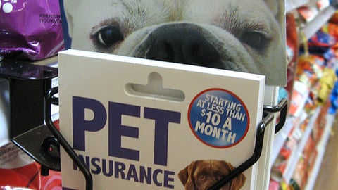 Kroger 'Pet Insurance' Take-One Dispenser