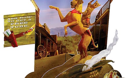 Bayer Advantage Countertop Display