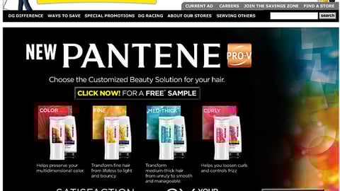 Dollar General Pantene Landing Page